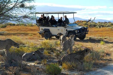 2 dagars Inverdoorn lyxsafari