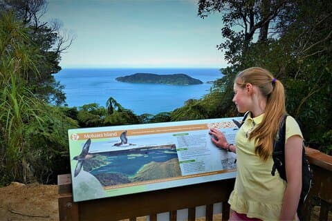 Queen Charlotte Track - Ultimate one Day Walk and Cruise