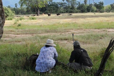 Zambezi National Park Walking Safari med piknikpause