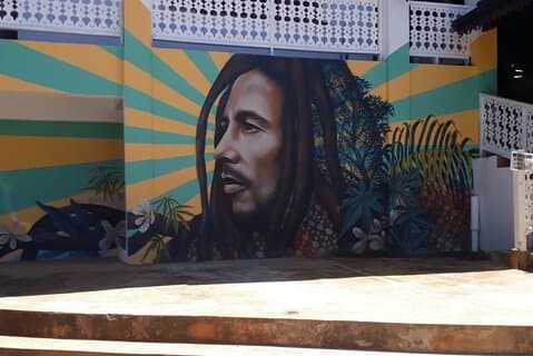 Bob Marley Nine Mile Sightseeing Tour fra Ocho Rios