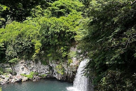 Tour a piedi dell'area Jungmun di Seogwipo (la città meridionale di Jeju).