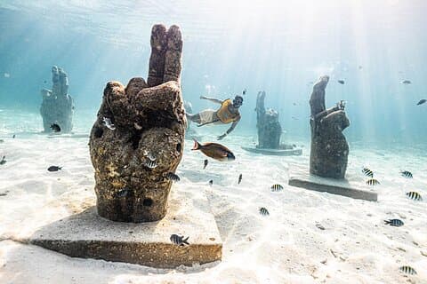 With Turtles, Shipwreck, Cenote, and Reef and Transport Included