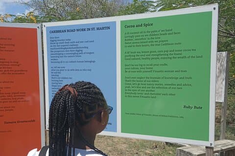 St.Martin-St.Maarten : Grupo pequeño, Tour de almuerzo por la playa del museo