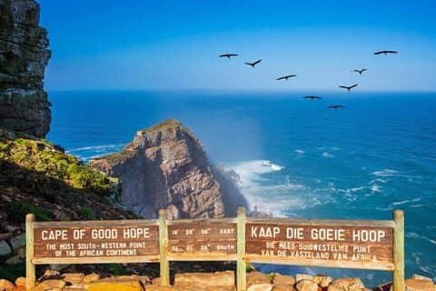 Cape of Good Hope Pinguine Private Tour Individualisierbare Erfahrung
