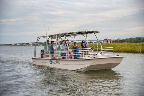 90 minuters Hilton Head Dolphin and Nature Cruise