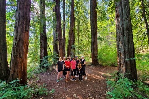 Napa Valley Redwood-Wanderung