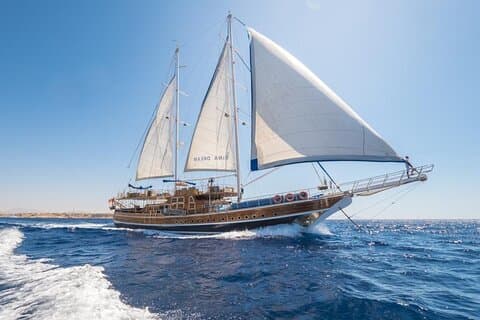 Heldagsbåtuthyrning i Sharm El Sheikh