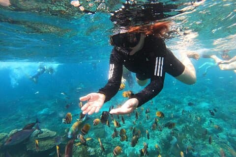 Snorkling på Blue Lagoon & Tanjung Jepun All Inclusive