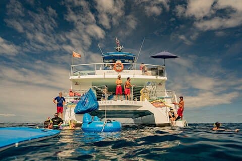Deluxe snorkel- og delfinur ombord på en luksuskatamaran fra Kailua-Kona