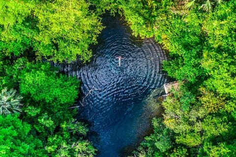 Exploração ecológica: aventura em carrinho de golfe e cruzeiro de catamarã