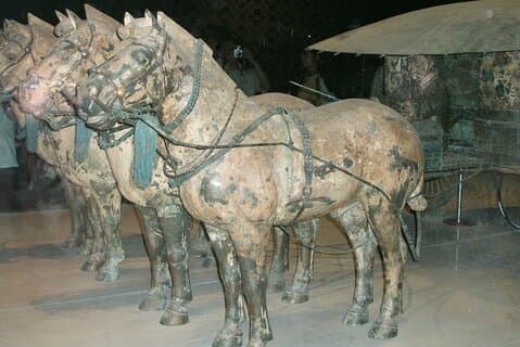 Xi'an Terra-Cotta Army Warriors, Old City Wall, Mosque day tour