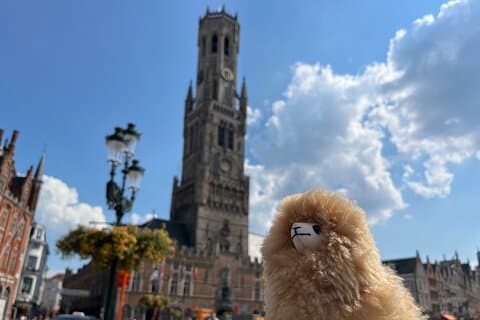 Visite privée d'une journée Bruges & Gand au départ de Bruxelles avec dégustations