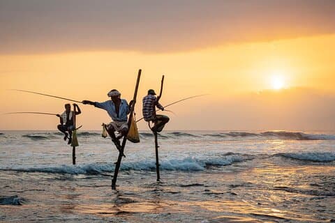 1 Day Private Tour Itinerary for Bentota, Hikkaduwa and Galle