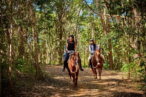 Kuranda 60 minute Horse Trail Ride and Petting Farm