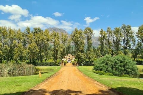 Wine tasting in Cape Winelands Tour