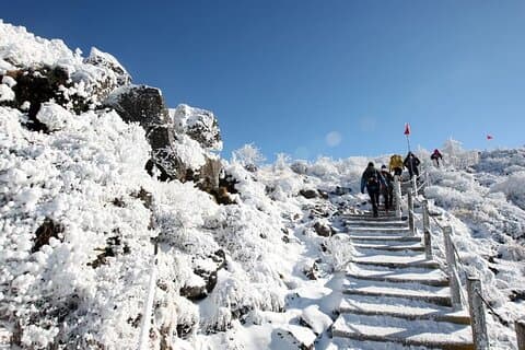 Volcano Heart, Ocean Breath: The Ultimate Jeju Wilderness