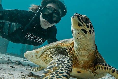 Excursão privada às ilhas Similan