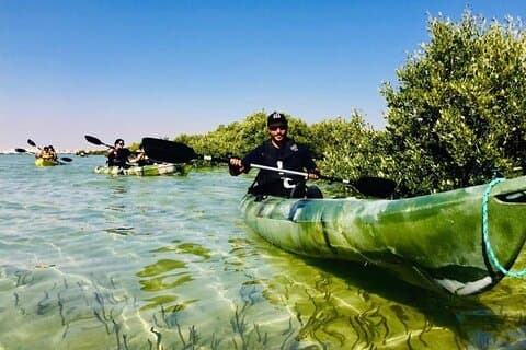 Mangrove 1-Hour Kayaking in Al Thakira Reserve