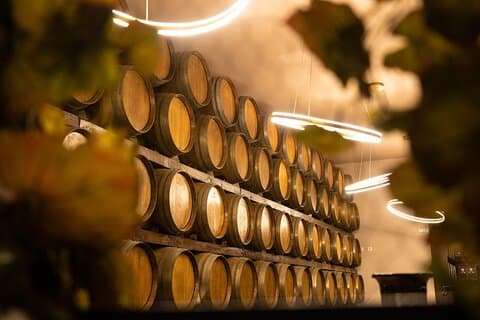 Lissabon Luxury Tejo Wine Tour Experience