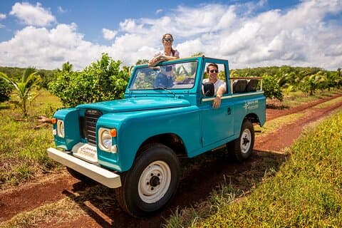 Private Tour Uxmal Land Rover Vintage Safari & Mayan Brunch