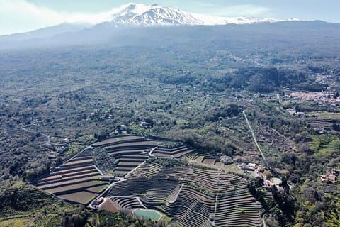 Etna panoramautsikt privat rundtur och vinsmak och matkombination