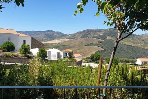 Tour privato di un'intera giornata nella valle del Douro