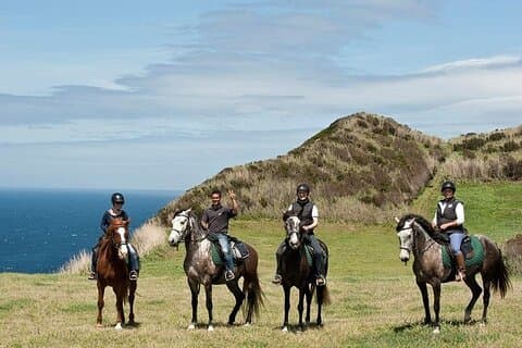 Lusitano Trail – Reiten für Anfänger