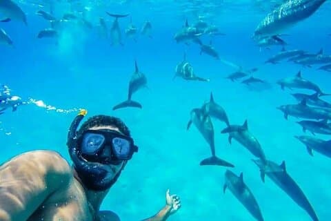 Nadar com golfinhos e experiência de um dia de viagem de barco de banana - Hurghada