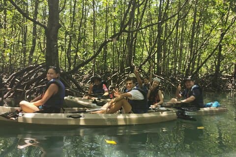 4 timer Kilim Geopark Mangrove Kajakkpadling