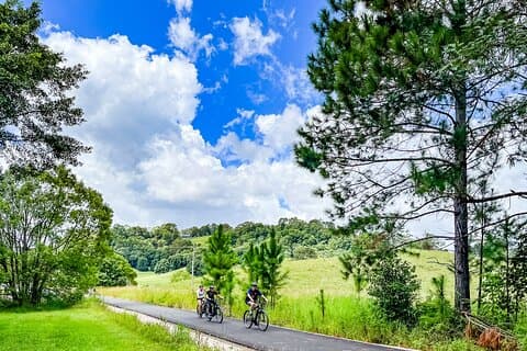 E Bike Hire opposite the Northern Rivers Rail Trail (Self Guided)