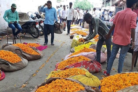 Halvdag de skjulte hemmeligheder i Jaipur City Privat guidet tur