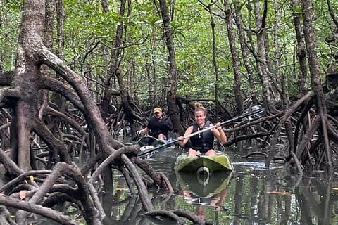 Half-Day Geopark Mangrove Kayaking Adventure