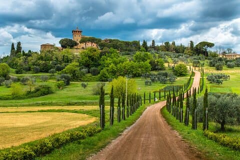 Fuga de meio dia ao Chianti: provar o coração da Toscana