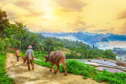 Pu Luong och Halong Bay Flerdagars privat lyxtur