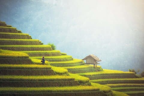 Hoogtepunten van Noord-Vietnam in 6 dagen