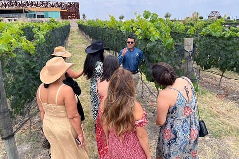 Lokal vingårdstur og vinsmagning i Independence Valley