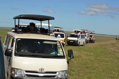 Nairobi Urban Safari: Halvdagsäventyr för vilda djur