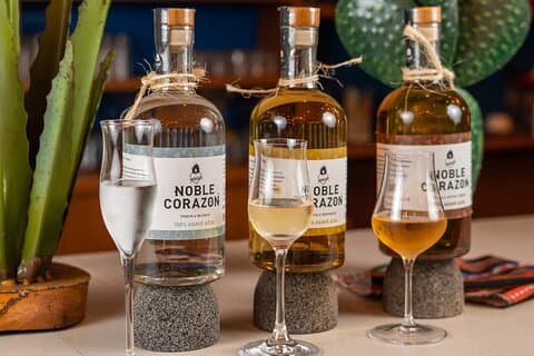 Experiência de degustação de tequila e mixologia em Cancún