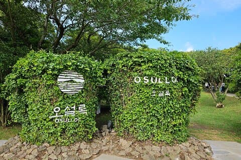 JEJU-dagtour (West en Zuid) - Vertrek luchthaven, eindig waar dan ook