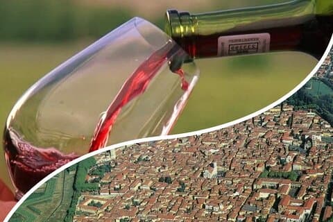 Lucca & Winery Private Tour