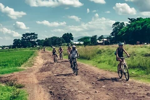 Discover the Serenity of Rau Forest on a Half-Day Bike Tour