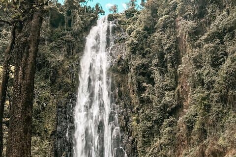 4 dagers kulturtur fra Kilimanjaro med fottur og safari