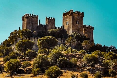Guidat besök i Córdoba och Almodóvar slott