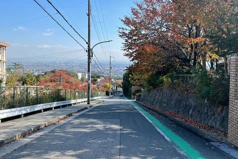 Real-Life Anime Location Visiting in Osaka Private Guided Tour
