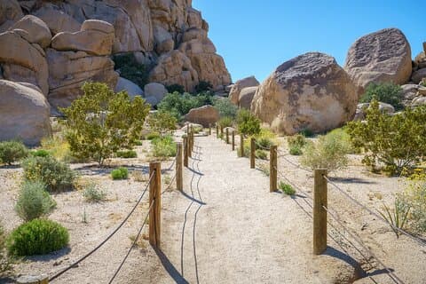 Joshua Tree's Hidden Valley Self-Guided Walking Tour