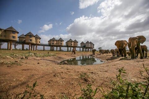 4 Days Special Circuit In Kenya -Tsavo-Saltlick Safari(min 2 pax)