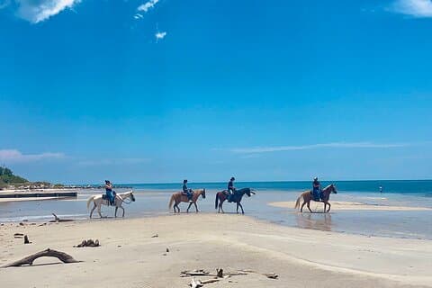 Passeios a cavalo guiados nas águas cristalinas de Miami, Flórida