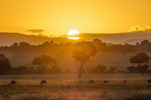 Safari Privado De 2 Días A La Reserva Nacional Masai Mara