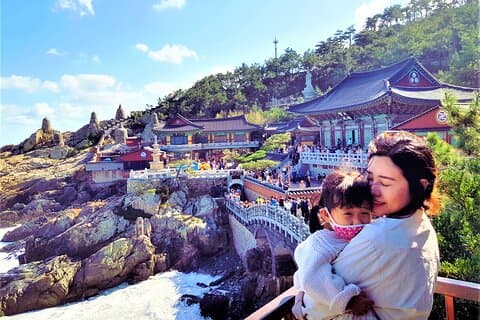 Busan Dagtrip vanuit Seoul door KTX - Privétour met lokale gids