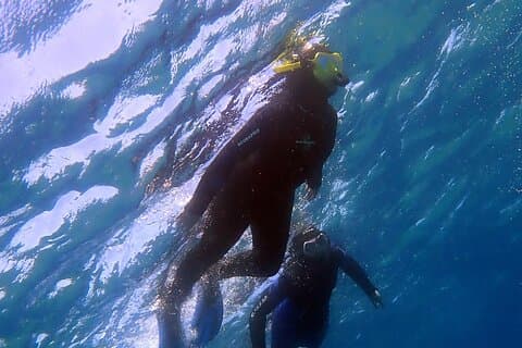 Plongée en apnée à Costa Teguise: Visite guidée de 2 heures à Lanzarote
